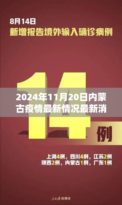 2024年11月20日内蒙古疫情最新情况分析，某某观点下的深度阐述