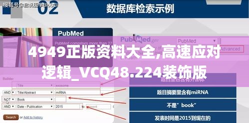 4949正版资料大全,高速应对逻辑_VCQ48.224装饰版