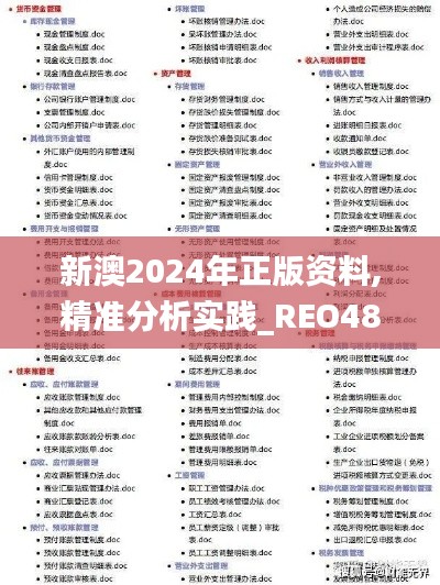 新澳2024年正版资料,精准分析实践_REO48.154锐意版