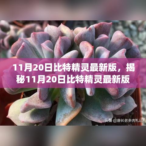 投诉说明 第27页