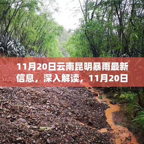 11月20日云南昆明暴雨深度解析，特性、体验与竞品对比