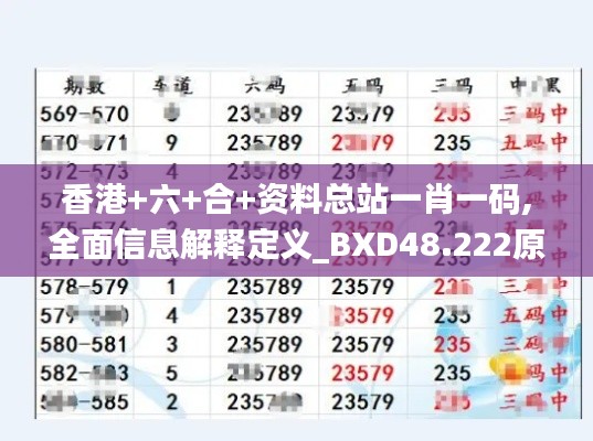 香港+六+合+资料总站一肖一码,全面信息解释定义_BXD48.222原创性版