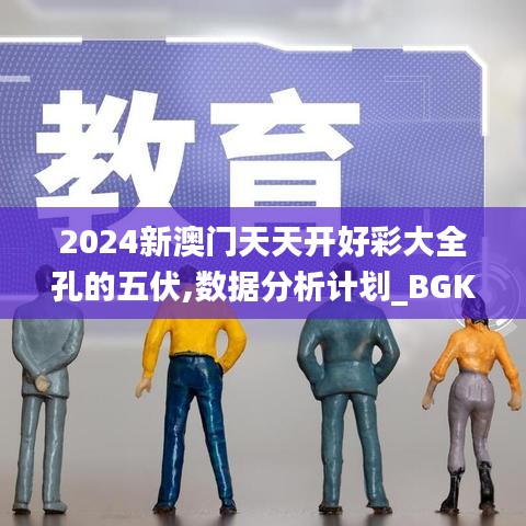 2024新澳门天天开好彩大全孔的五伏,数据分析计划_BGK48.903资源版