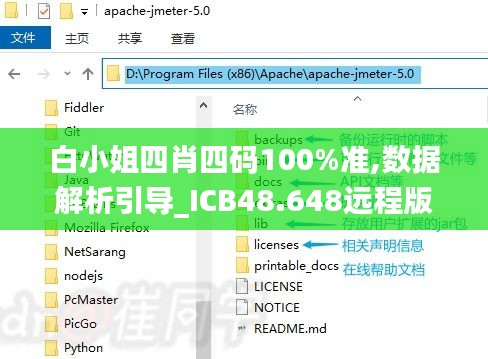 白小姐四肖四码100%准,数据解析引导_ICB48.648远程版