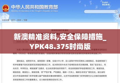 新澳精准资料,安全保障措施_YPK48.375时尚版