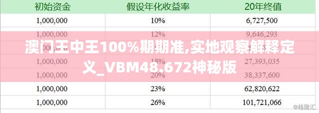 澳门王中王100%期期准,实地观察解释定义_VBM48.672神秘版