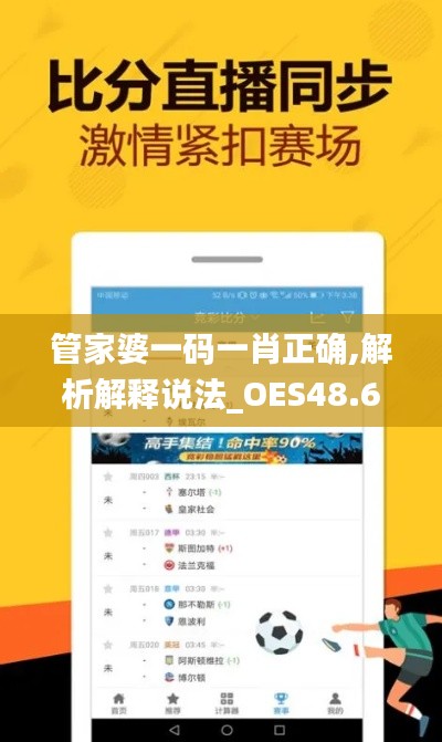 管家婆一码一肖正确,解析解释说法_OES48.614赛博版