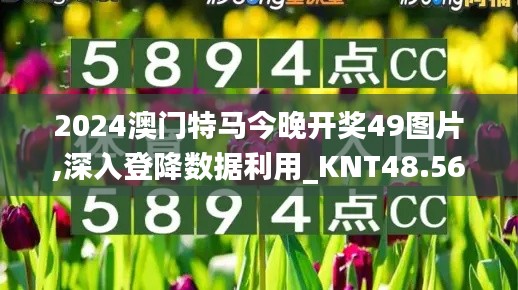 2024澳门特马今晚开奖49图片,深入登降数据利用_KNT48.560优雅版