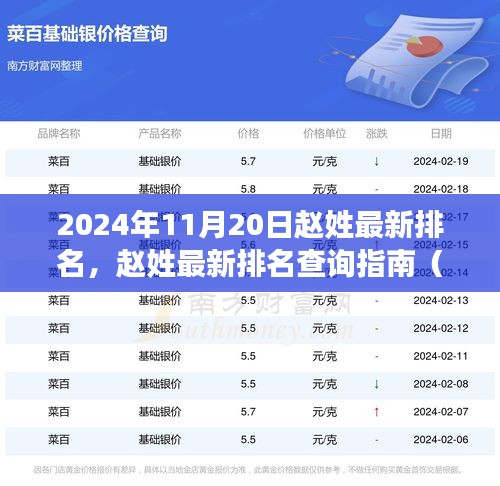 赵姓最新排名查询指南，从初学者到进阶用户，2024年赵姓排名一览