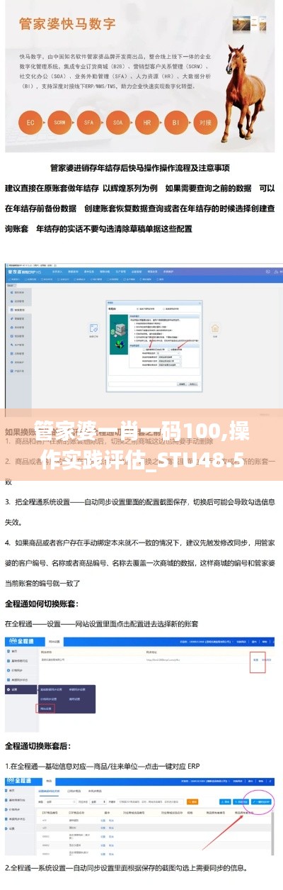 管家婆一肖一码100,操作实践评估_STU48.541活动版