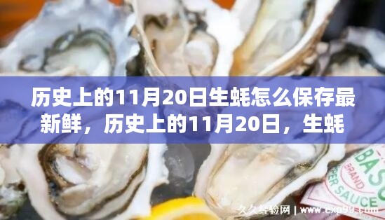 历史上的11月20日，生蚝的保存与保鲜秘诀探索