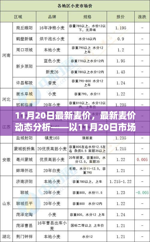 最新麦价动态分析，以市场数据为例的探讨（11月20日更新）