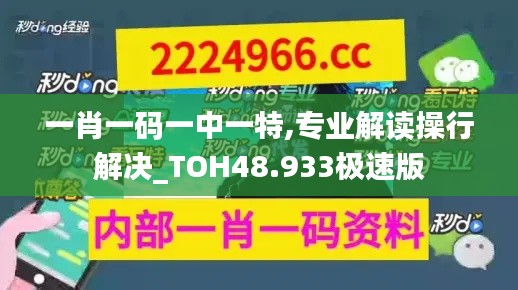 一肖一码一中一特,专业解读操行解决_TOH48.933极速版