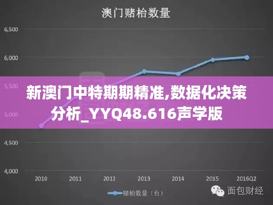 新澳门中特期期精准,数据化决策分析_YYQ48.616声学版