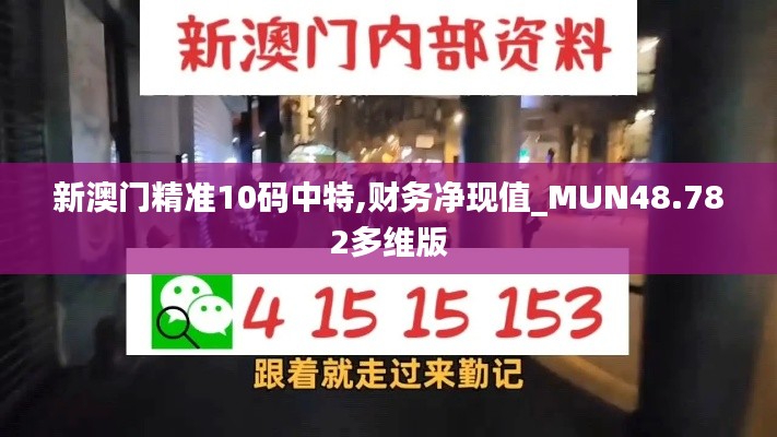 新澳门精准10码中特,财务净现值_MUN48.782多维版