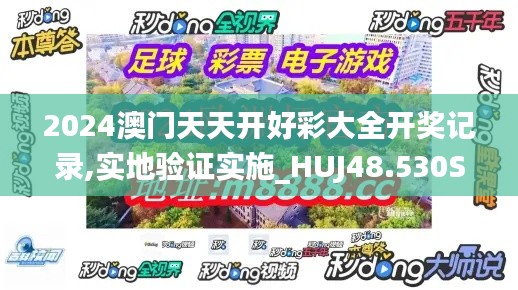 2024澳门天天开好彩大全开奖记录,实地验证实施_HUJ48.530SE版