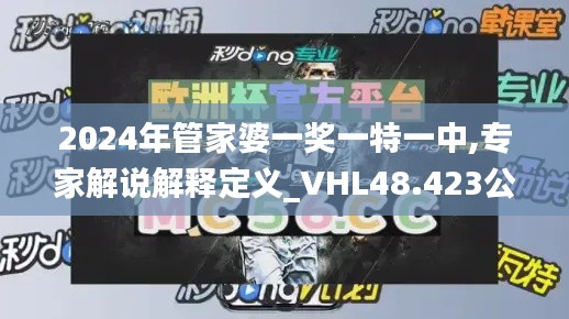 2024年管家婆一奖一特一中,专家解说解释定义_VHL48.423公积板