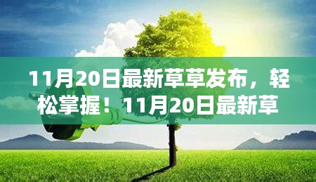 11月20日最新草草发布操作指南，从初学者到进阶用户，轻松掌握！