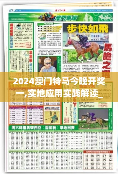 2024澳门特马今晚开奖一,实地应用实践解读_EJV48.941全景版