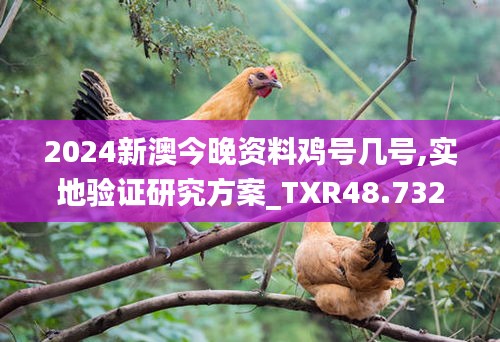 2024新澳今晚资料鸡号几号,实地验证研究方案_TXR48.732为你版