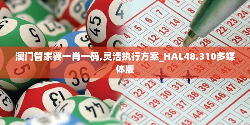 澳门管家婆一肖一码,灵活执行方案_HAL48.310多媒体版