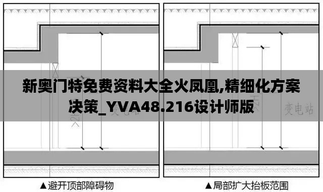 新奥门特免费资料大全火凤凰,精细化方案决策_YVA48.216设计师版