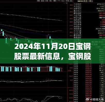 2024年11月20日宝钢股票最新动态及深度解析，机遇与挑战一览