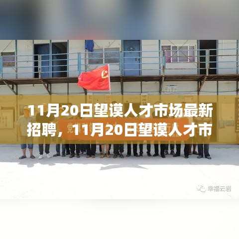 11月20日望谟人才市场最新招聘深度解析与介绍