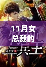 11月女总裁的顶级兵王，热血与智慧交织的传奇故事（最新更新）