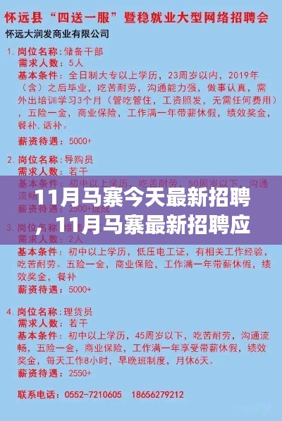 11月马寨最新招聘全程指南，从入门到成功入职