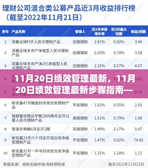 11月20日绩效管理最新步骤指南，从入门到精通全解析