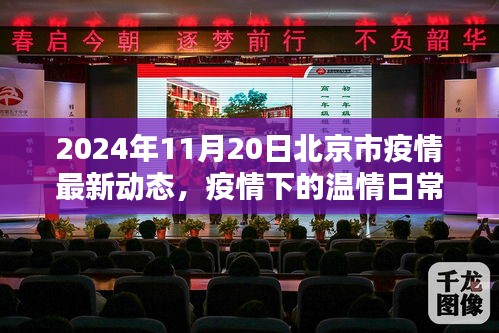 北京家园温情瞬间，疫情下的温情日常与最新动态