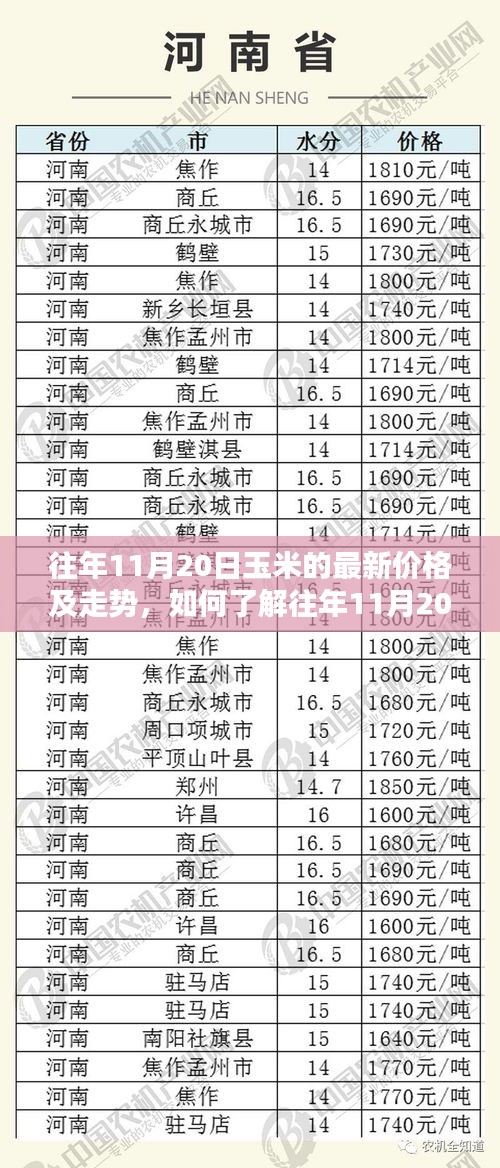 往年11月20日玉米价格及走势解析，步骤指南助你轻松了解最新动态