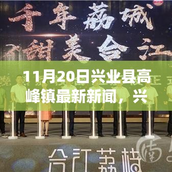 兴业县高峰镇最新动态报道，聚焦11月20日新闻与各方观点分析