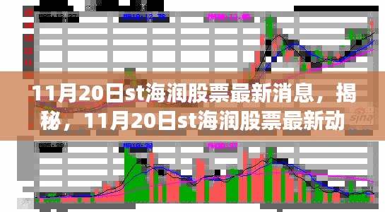 深度解析，ST海润股票最新动态与市场走势揭秘（11月20日最新消息）