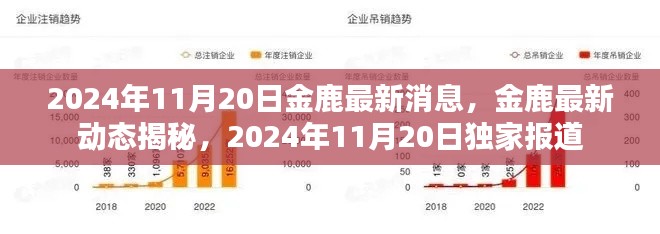 独家揭秘，金鹿最新动态与消息，2024年11月20日更新