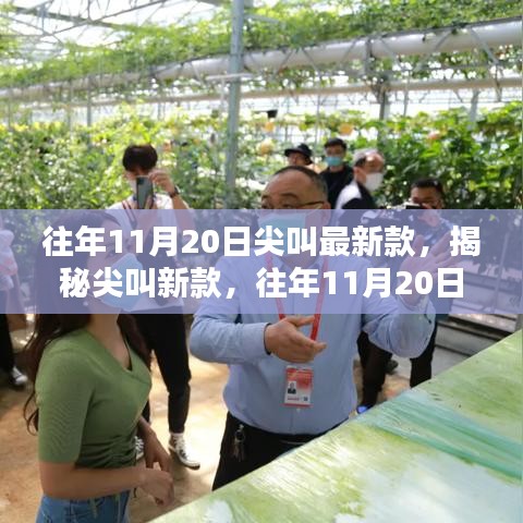 揭秘尖叫新款，往年11月20日的科技盛宴与尖叫狂欢