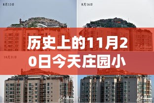 探寻庄园小鸡秘密答案，历史上的今天与庄园小鸡的11月20日揭秘之旅