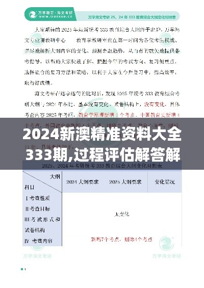 2024新澳精准资料大全333期,过程评估解答解释计划_DON5.18