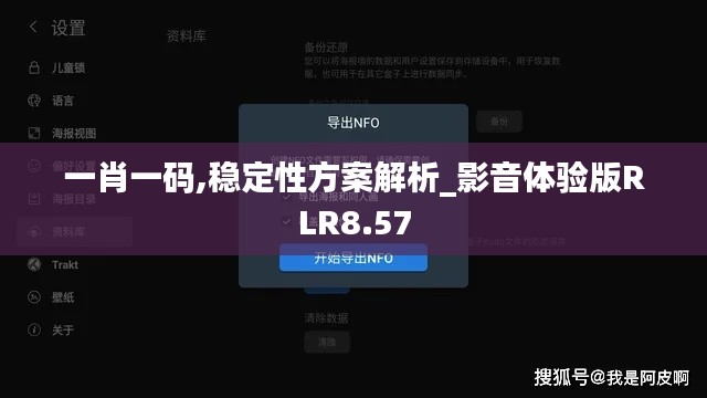 一肖一码,稳定性方案解析_影音体验版RLR8.57