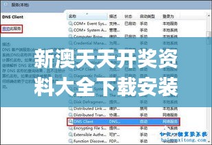 新澳天天开奖资料大全下载安装,坚实解答解释落实_响应版BEV2.20