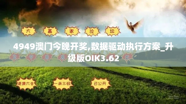 4949澳门今晚开奖,数据驱动执行方案_升级版OIK3.62