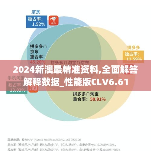 2024新澳最精准资料,全面解答解释数据_性能版CLV6.61