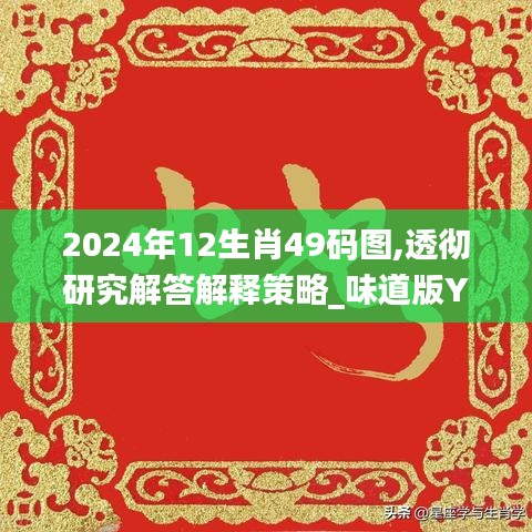 2024年12生肖49码图,透彻研究解答解释策略_味道版YRW8.11