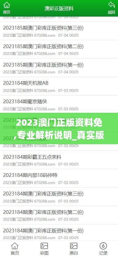 2023澳门正版资料免,专业解析说明_真实版UFP4.79