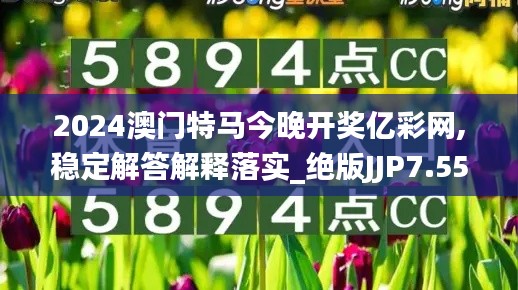 2024澳门特马今晚开奖亿彩网,稳定解答解释落实_绝版JJP7.55