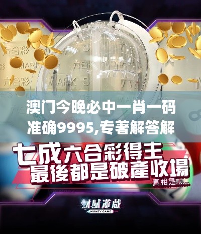 澳门今晚必中一肖一码准确9995,专著解答解释落实_模块版VQV2.51