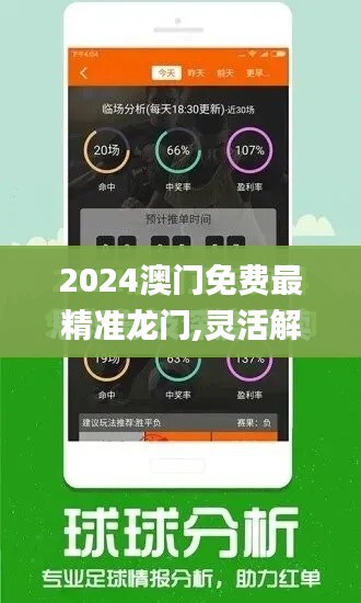 2024澳门免费最精准龙门,灵活解析执行_艺术版YYG2.30