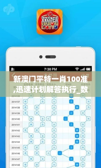 新澳门平特一肖100准,迅速计划解答执行_数字版ZVM3.62