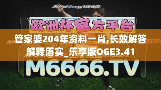 管家婆204年资料一肖,长效解答解释落实_乐享版OGE3.41